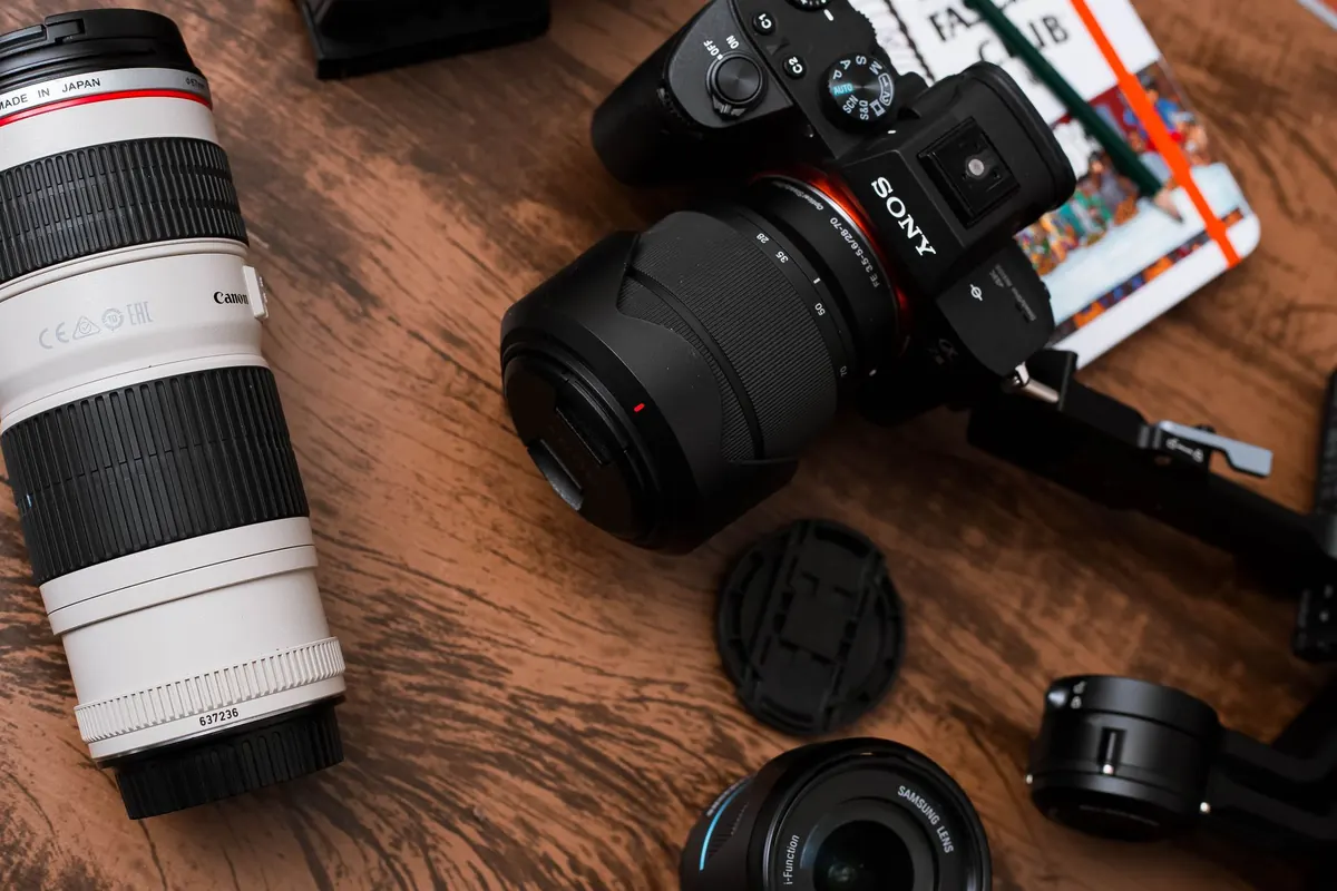 Common Mistakes in Heron Photography and How to Avoid Them